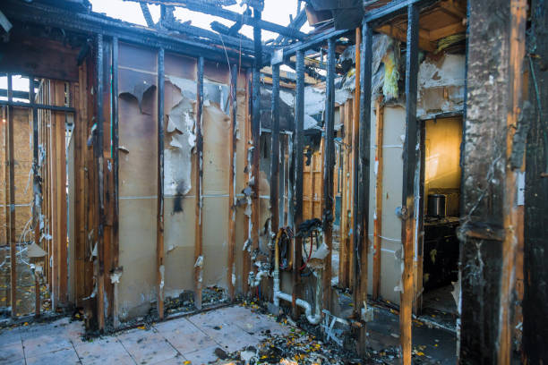 Professional Smoke Damage Removal technician working in Bethesda, MD
